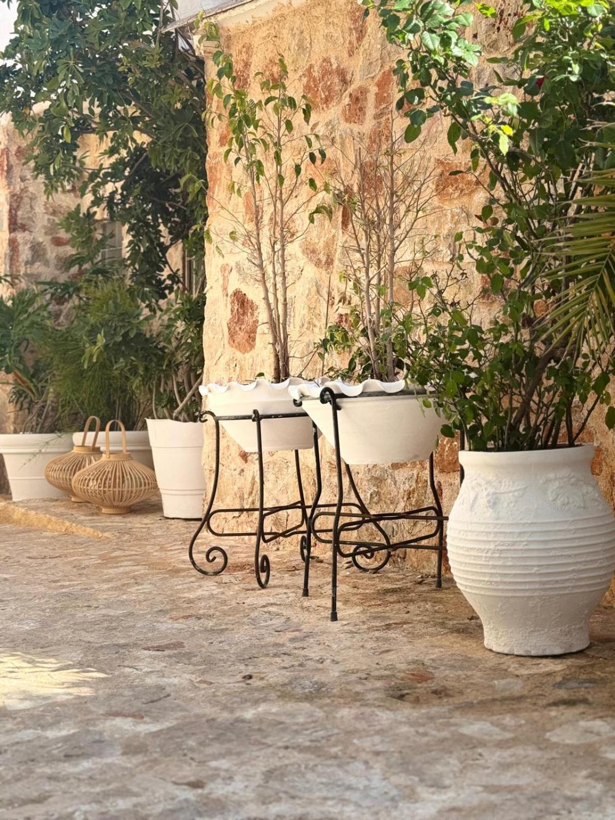 Pallas Seaside 1 Athen Exterior foto